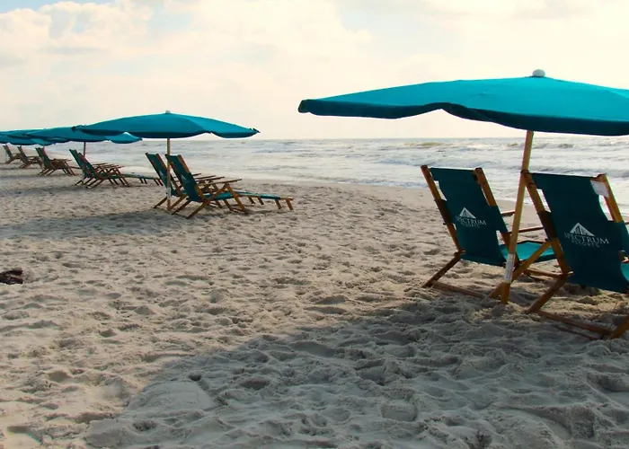 Apartment Catalina 902-updated Beachfront With Amazing Views-full Service